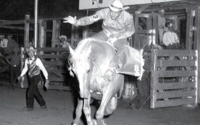 Ropes, Reins, and Resilience: Why We Rodeo in the Pikes Peak Region