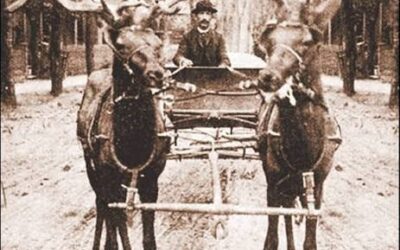 Names Have Changed, Character Has Not: Traveling Back 104 Years of the Pikes Peak Region